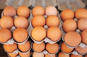 Huevos Frescos de Granja para Consumo y Incubación - Larga Vida Útil, Origen Europeo, Precios - Product Image 5