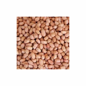 Cacahuetes secos naturales orgánicos sin OGM de alta calidad (cacahuete) de productos alimenticios crudos a granel de Uzbekistán - Product Image 3