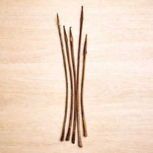 Bâtonnets de bœuf bio déshydratés pour chiens, friandises à mâcher riches en protéines, au goût de légumes, sans danger pour les chats - Product Image 1