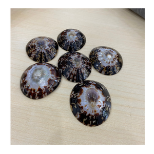 Les amateurs d'artisanat utilisent Vietnam Limpet Shell de 99 Gold Data pour les produits de coquille faits à la main et les idées de décoration - Product Image 5