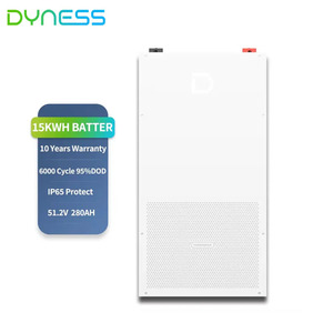 Batería <span class=keywords><strong>Dyness</strong></span> PowerBrick LiFePO4 de 14.336 kWh, ≥8000 Ciclos, Montaje en Pared/Suelo, 51.2V para Sistema de Almacenamiento de Energía Solar de Bajo Voltaje - Product Image 1
