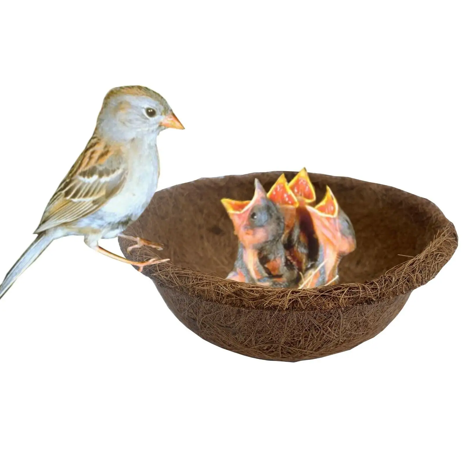 Птичье гнездо из кокосового ореха для маленьких птиц дизайн чаши