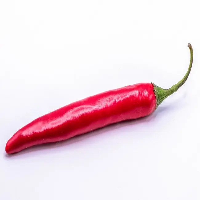 Gewürze & Kräuter produkte Großhandel Bester Preis Neue Ernte Frischer roter Chili-Pfeffer aus Thailand