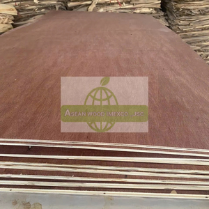 Panneau de contreplaqué à noyau de Bintangor et d'eucalyptus en bois de l'Asean fabriqué au Vietnam Design minimaliste pour armoire et meubles muraux - Product Image 3
