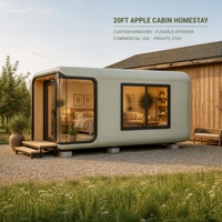 Unité de bureau et de stockage haut de gamme de 20 pieds en forme de cabane Apple avec vitrages personnalisés, aménagement efficace et extérieur moderne pour sites commerciaux