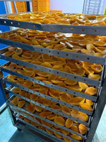 1Kg Zachte Gedroogde Mango Met Vietnamese Verse Mango En Natuurlijke