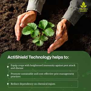 Hedge Fungus Treatment Powder - Product Image 4