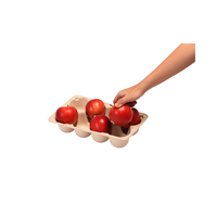 Vers Fruit Dienblad Verpakking Gegoten Bio Afbreekbaar Composteerbaar Pulp Lade Op Maat Voor Fruit Vriendelijke Fabrikant Beste Prijs