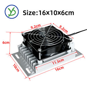 דוד <span class=keywords><strong>ptc</strong></span> עם מחמם סגסוגת אלומיניום המעורר 110v 220 100w 200w <span class=keywords><strong>300w</strong></span> אינקובטור <span class=keywords><strong>ptc</strong></span> חימום חיות מחמד התחממות 16*10*6 ס "מ - Product Image 2