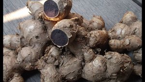 RACINE DE GINGEMBRE NOIR SÉCHÉE BIOLOGIQUE/PURE & FRAIS/REMÈDE DE BIEN-ÊTRE NATUREL - Product Image 6