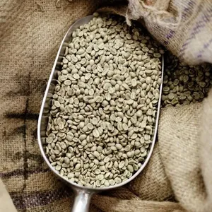 绿豆咖啡阿拉比卡和罗布斯塔农场的好价格 -- 散装工厂包装