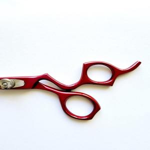 กรรไกรตัดผมสแตนเลสระดับมืออาชีพ พร้อมด้ามจับแบบเออร์โกโนมิกส์ ผลิตจากเหล็กกล้าไร้สนิมคุณภาพสูง - Product Image 3