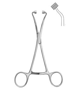 Peers-Bertram Abrazadera para toallas Puntas ranuradas Dispositivos médicos profesionales Instrumentos quirúrgicos Suministros médicos Sialkot Pakistán - Product Image 1