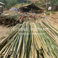 Bâtons de bambou vietnamiens en gros à prix avantageux / Fabriqués à 100 % en bambou véritable au Vietnam, bâtons de ski en bambou d'Eco2go Vietnam
