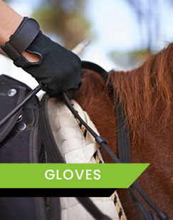 Outil De Toilettage Pour Chevaux Outil De Maréchal-ferrant Outil De