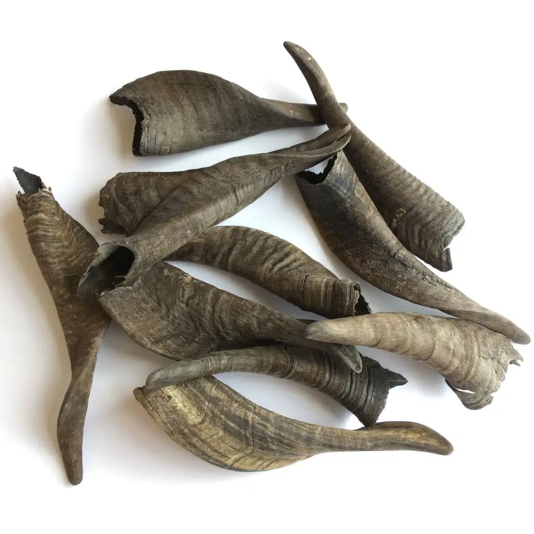 these hollowed out horns are sourced sustainably and repurposed as single ingredient dog treats By Noshahi Horn Enliven Overseas