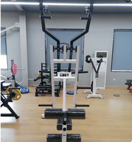 Machine à tirer les lombaires indépendante PowerX à charge libre pour l'entraînement musculaire du dos