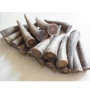 Corne de buffle personnalisée de haute qualité et pointe de corne Vente en gros de sculpture animale de style OX naturel Technique brute polie - Product Image 1