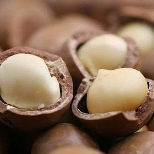 Noyaux de macadamia grillés et salés de qualité supérieure, sans coquille, origine Vietnam - Product Image 5