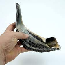 Corne soufflante traditionnelle Ram Shofar pour le culte Soufflage sonore et but religieux Casher Shofar Corne de mouton Ram polie - Product Image 3