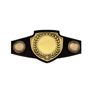 Ceintures en cuir de peau de vache de lutte professionnelle ceinture de championnat du monde de boxe personnalisée Logo OEM ceintures de championnat universelles unisexe - Product Image 6