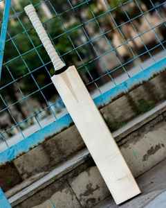 Best Benpro Enterprises BE-CB-2251 Logotipo personalizado Impreso Peso ligero Inglés Willow Cricket Bat-Ecológico Alta calidad Nuevo - Product Image 1