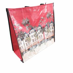 Bolsas Ecológicas de Tela No Tejida Laminada BOPP de Fábrica Directa con Impresión de Alta Calidad para Embalaje Industrial, Exportación y Personalización - Product Image 1
