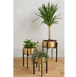Pot en métal noir élégant fait à la main pour les arbres d'intérieur Style de conception côtière - Product Image 1