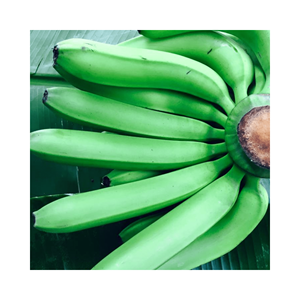 Nouvelle récolte 2025 - Banane Cavendish - Prix d'usine du Vietnam Banane fraîche pour l'exportation de fruits frais du Vietnam à bon prix - Product Image 3