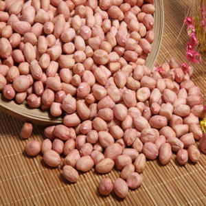 Arachides crues 100% naturelles et saines, différentes tailles, cacahuètes fraîches pour collations, beurre de cacahuète, vente en gros, emballées sous vide, durée de conservation de 3 ans - Product Image 1