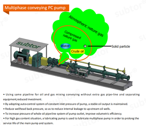 Bombas de Cavidad Progresiva Mono para Transferencia Multiphasa en Campos Petroleros, Transporte de Gas Natural, Crudo y Arena, Motor de Rotor sin Pulsaciones ABB/XIANDA - Product Image 2