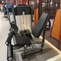 Máquina de Entrenamiento Abdominal y de Cintura Comercial con Peso de 100 kg, Equipo de Entrenamiento de Fuerza para Gimnasio y Fitness