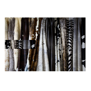 วัวแห้งและเปียกแบบเปียกหนัง/หนังวัวเลี้ยงสัตว์ - Product Image 2