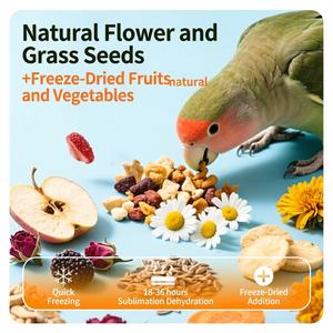 Alimento Premium Natural para Loros al por Mayor, Mezcla de Semillas de Frutas Liofilizadas para Periquitos, Cockatiels, Guacamayos Grises Africanos, Fábrica OEM - Product Image 2