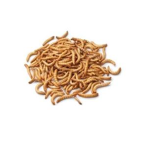 Collation lyophilisée de nourriture de poissons tropicaux ornementaux de vers de sang - Product Image 3