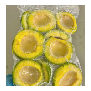 Purée d'avocat congelée IQF standard d'exportation avocat congelé utilisé pour les sauces trempettes et tartinades - Product Image 5