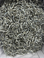Ikan Sarden Kering Premium 100% Tinggi Protein Bahan Makanan Ringan Untuk Pengolahan Makanan Dan Pasokan Ekspor