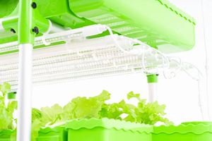 Grande conception hydroponique et aquaponique unique pour les serres agricoles facilitant la pêche et la culture de légumes - Product Image 4