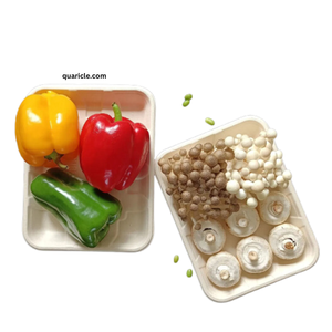 Bandeja de servicio de comida de bagazo de caña de azúcar biodegradable rectangular respetuosa con el medio ambiente desechable personalizada logotipo para restaurante de hotel en casa - Product Image 4