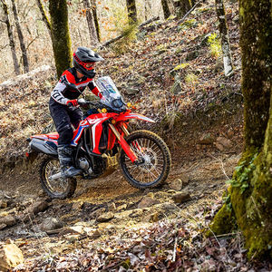 2024 Rallye HondaaCRF 300L - Product Image 2