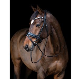 สแนฟเฟิล บริดเดิล - Product Image 5