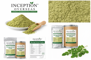 ผงสกัดมะรุม (Moringa Oleifera) วัตถุดิบสมุนไพรเพื่อสุขภาพ ผู้ผลิตและจำหน่ายแบบ OEM และขายส่งจากอินเดีย - Product Image 6