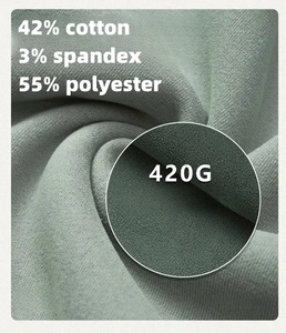 Alta calidad Polar Fleece 420gsm peso pesado de gran tamaño de algodón poliéster pulóver logotipo personalizado Unisex sudaderas con capucha para hombres - Product Image 3