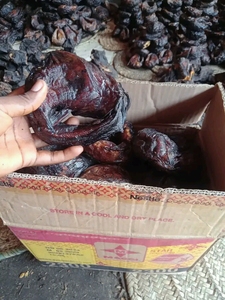 ปลาดุกแห้งพรีเมียม - คุณภาพสูง มีคุณค่าทางโภชนาการ - Product Image 5