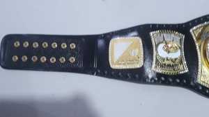 เข็มขัดแชมป์มวยปล้ำเข็มขัดถ้วยรางวัลและรางวัลสัญลักษณ์สูงสุดของชัยชนะและเข็มขัดแชมป์ยอดเยี่ยม - Product Image 6