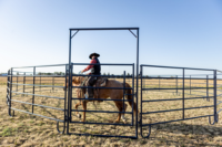 Panneaux de clôture robustes en acier galvanisé pour animaux, enclos pour bétail, panneaux de cour pour moutons / panneaux de ferme pour bovins et chevaux