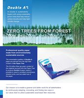 Papel de Copia Blanco Doble A4 de 80 g/m², Ecológico, 100 % Pulpa de Madera Virgen, para Uso Escolar y de Oficina, Certificado ISO9001, Excelente