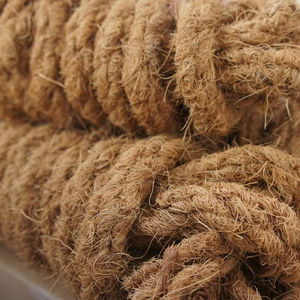 Ficelle biodégradable de corde de coco de noix de coco du Vietnam pour le liage d'arbre et l'utilisation d'horticulture par 99 données d'or - Product Image 1