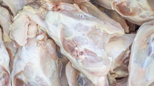 ซากไก่แช่แข็งและชิ้นส่วนบนหลังร้านอาหารเนื้อไก่แช่แข็งจำนวนมากผู้จัดจำหน่ายและร้านค้าปลีก - Product Image 3