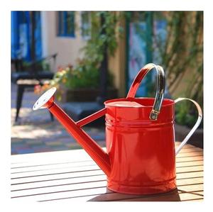 Regadera de flores de metal de diseño estándar Calidad superior en color blanco caro para rociador de agua de plantas de jardín - Product Image 2